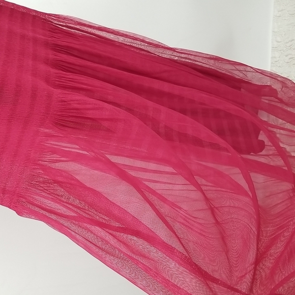 Zara Cranberry Dropped Waist Sheer Overlay Dress with Slip - Picture 7 of 13